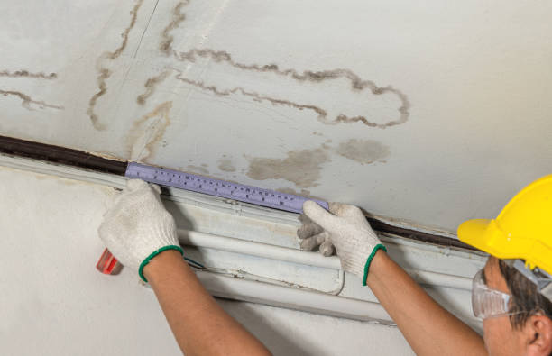Reliable Water Damage contractor in Kearsarge, NH by Water Damage Irwin